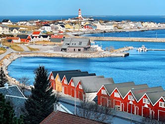 Visita guiada às ilhas Alesund e Viking com transporte